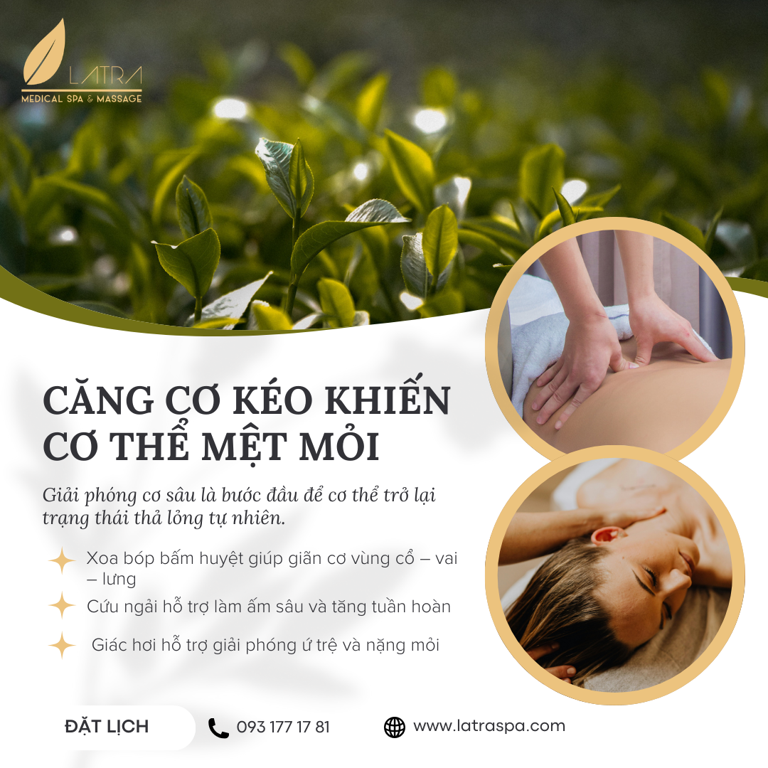 Massage cổ – vai – lưng: Hỗ trợ giảm căng cơ và cân bằng cơ thể